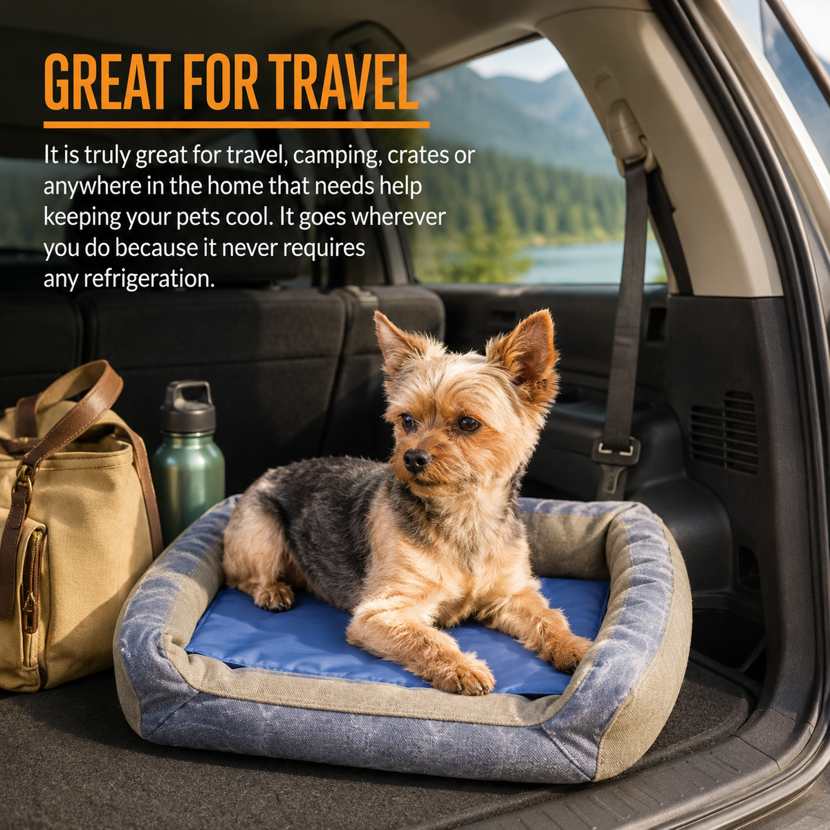 Water Cooling Pet Pad