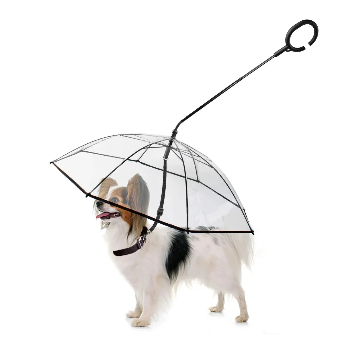 Dog leash with Umbrella